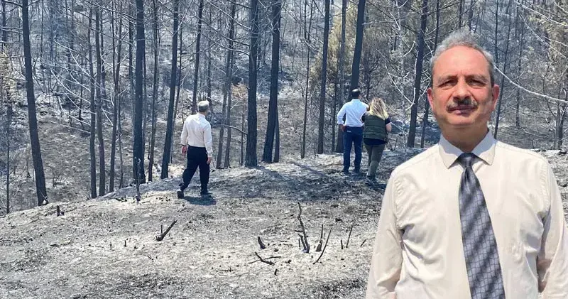 Karabük’te, bölgedeki ‘baca etkisi’ orman yangınının şiddetini artırdı