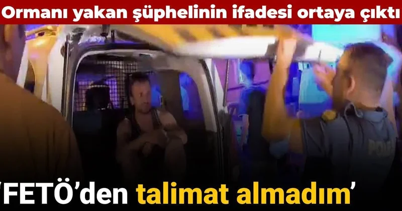 Ormanı yakan şüphelinin ifadesi ortaya çıktı: ‘FETÖ’den talimat almadım’