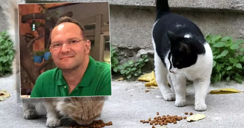 Acı son! Kedi tüyü hayattan kopardı