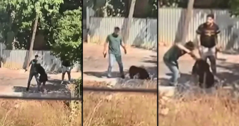 Bitmiyor... Bu kez Ümraniye de yaşandı: Kadının kafasına silah dayayıp...