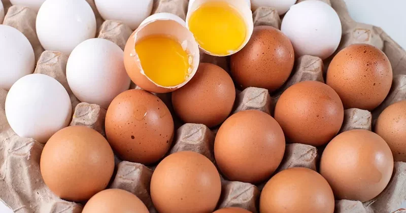 Yumurtalarda yeni dönem: Artık bu şekilde satılacak