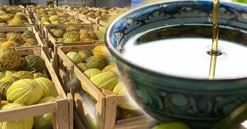 Zeytinyağı ve Kavun un adresi değişti! 2 ürün daha Avrupa yolcusu
