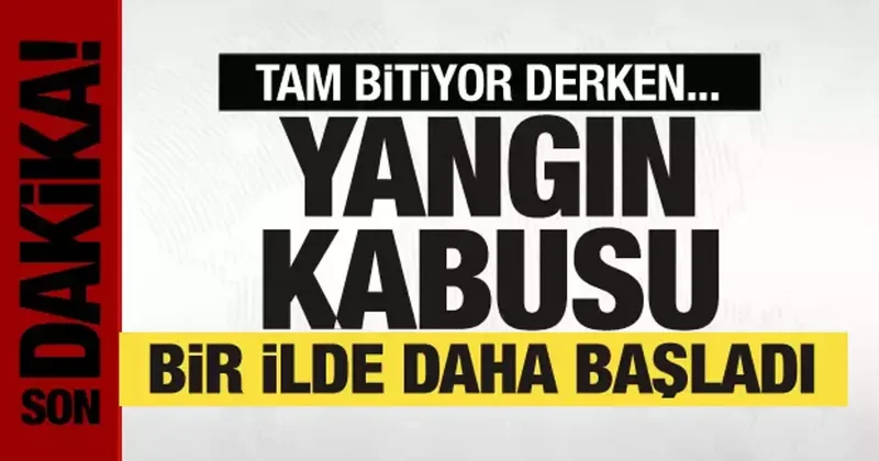Yangınlarla mücadele sürüyor! Alevler bir ili daha sardı