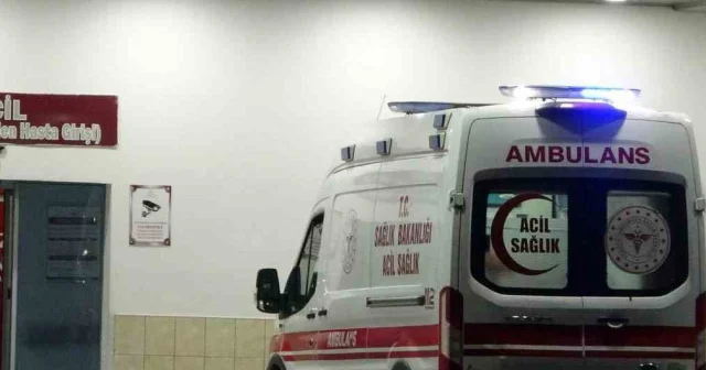 Köpeğin saldırısından korkup kaçan çocuğa otomobil çarptı Şanlıurfa Haberleri