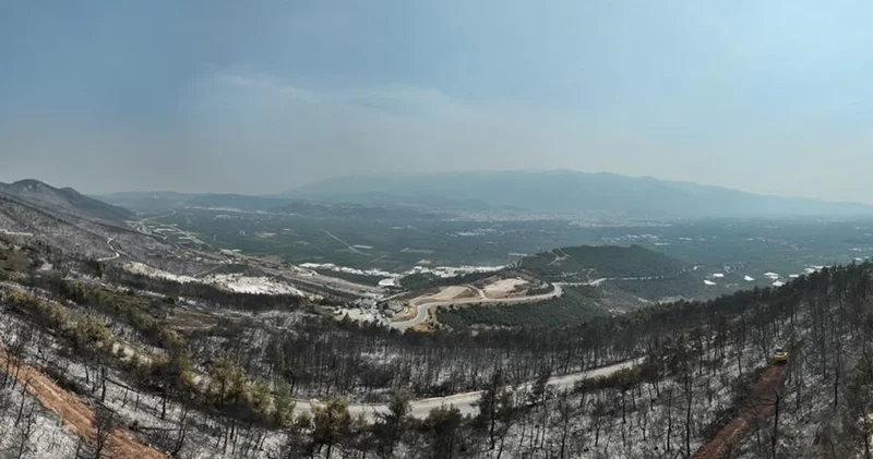 Gürsu yangınından yürek burkan bu manzaralar kaldı