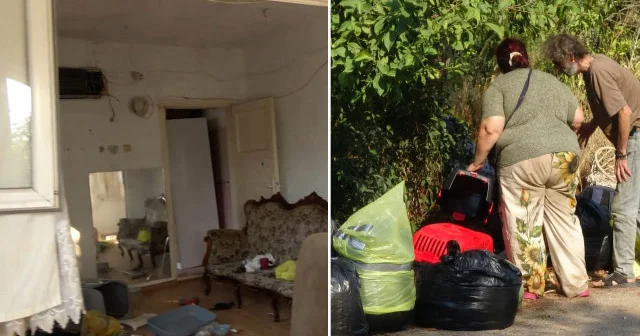 Sokaktak topladıkları kedi ve köpekleri eve hapsettiler: Ekipler 25 tanesine el koydu 17 si öldü Antalya Haberleri