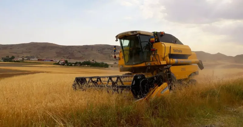 2.5 milyon dekar alanda ekildi, 800 bin ton ürün bekleniyor