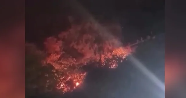 Attıkları havai fişek yangın çıkardı; 4 gözaltı Bursa Haberleri