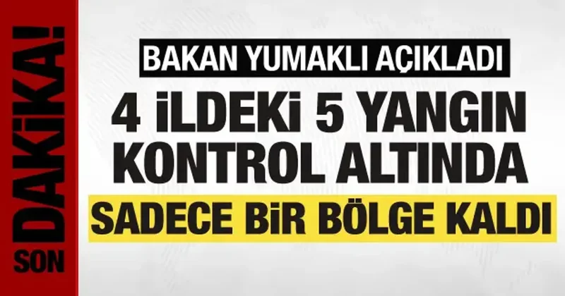 Bakan Yumaklı dan yangınlarla ilgili açıklama: Sadece bir bölge kaldı