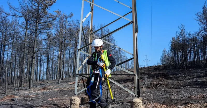 Yangın bölgesinde enerji hatlarının onarımı başladı