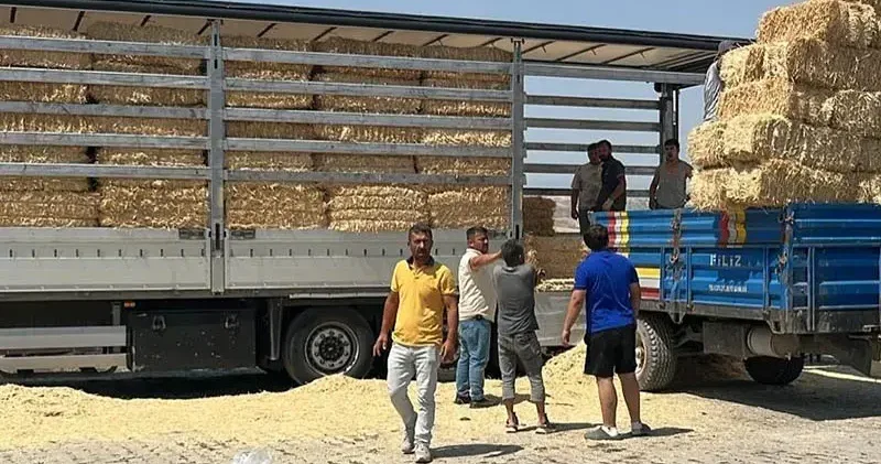 Çankırılı çiftçilerden, Karabüklü hayvan sahiplerine saman yardımı