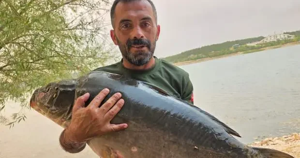 Bilecik haberleri Devasa balığı oltayla yakaladı, kendisi bile kilosuna inanamadı 29 Temmuz 2025