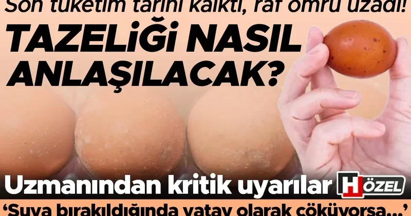 Yumurtaların son tüketim tarihi kalktı, raf ömrü uzadı! Tazeliği nasıl anlaşılacak? ‘Suya bırakıldığında yatay olarak çöküyorsa…’