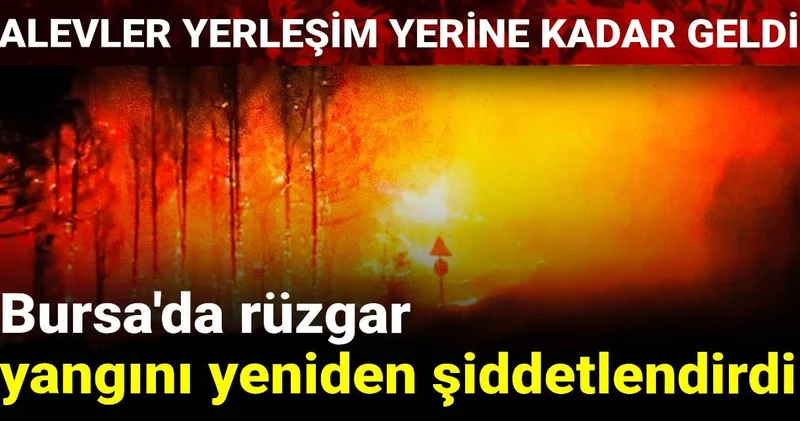 Bursa da rüzgar yangını yeniden şiddetlendirdi: Alevler yerleşim yerine kadar geldi