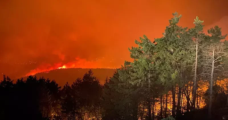 Karabük te orman yangınlarına müdahale sürerken yeni bir yangın çıktı