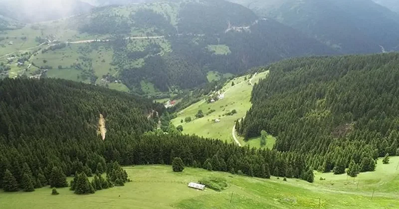 Yaylada arazi kavgası katliama dönüştü