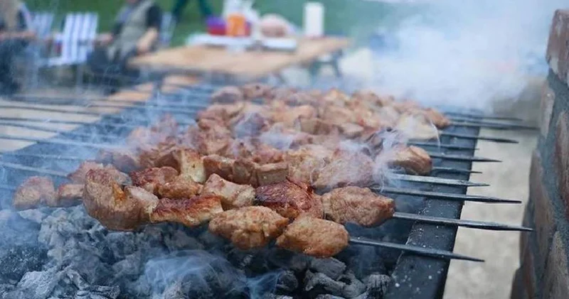 Valilik açıkladı: Mangal yapmak yasaklandı