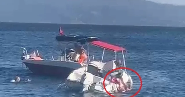 Yalova da sürat teknesinin çarptığı kadın, ağır yaralandı Yalova Haberleri