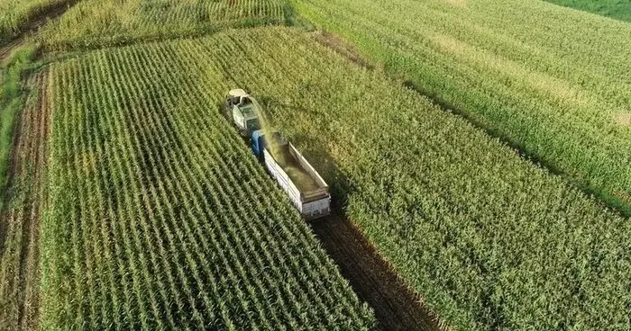 Çiftçilere 772 milyon 805 bin liralık tarımsal destek verilecek