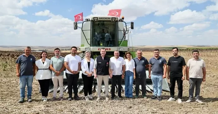 Silivri de yaklaşık bin 500 dekar alanda ayçiçeği hasadı başladı