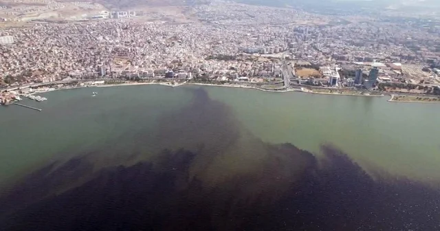 Prof. Dr. Özkan: Körfez 1 2 yılda düzelir demekle kendimizi kandırmış oluruz İzmir Haberleri