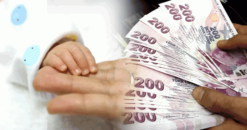 Bakanlık duyurdu! Yüz binlerce aileye müjde: Hesaplara yatırıldı