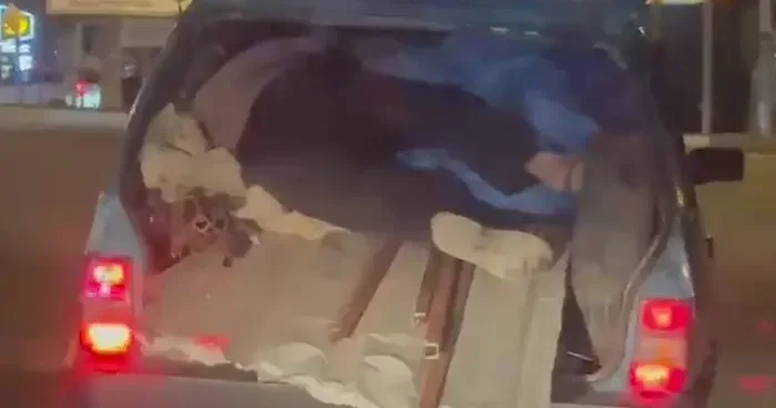 Yer: Adıyaman! Tehlikeli yolculuk