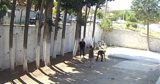 CHP li belediye başkanı taş döşemek istemeyen zabıtaları sopayla dövdü: Can güvenliğimiz yok VİDEO İZLE