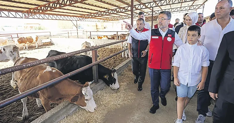 Et ithalatını önleyecek proje
