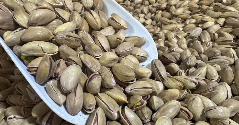 Fıstık sektörü denetlendi