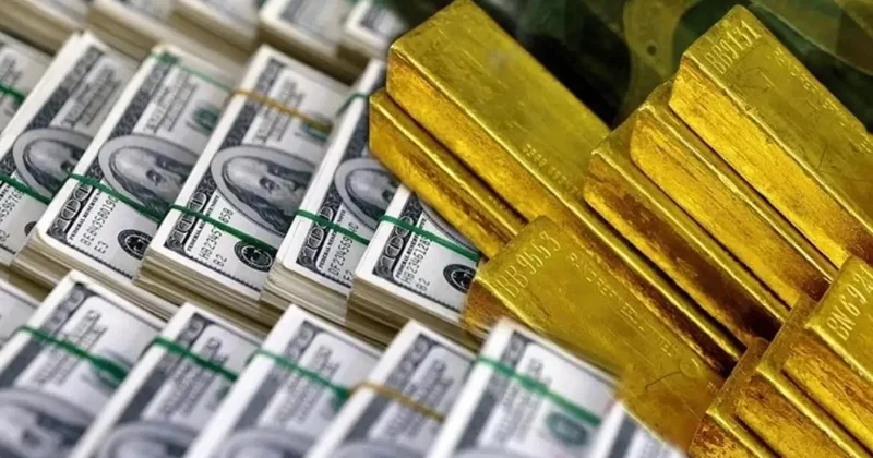 Döviz ve altın dönüşümlü KKM 12 milyar dolara geriledi