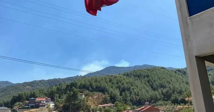 Buldan’da ormanlık alanda yangın çıktı