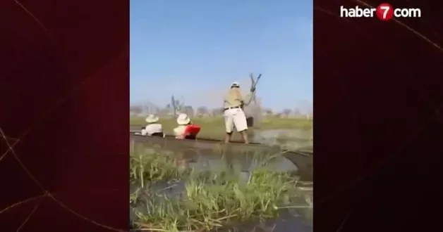 Safari kabusu kamerada: Timsahlarla dolu nehirde fil dehşeti!