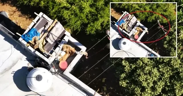 Dicle Elektrik dronları kaçak trafoyu yakaladı: 200 dönüm tarlayı kaçak elektrikle suladılar Şanlıurfa Haberleri