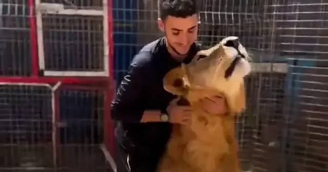‘Gazze’nin Aslanı’: 300 günlük esaretin ardından şefkatiyle kalplere dokundu VİDEO İZLE