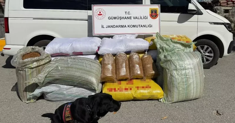 Gümüşhane de operasyon: 530 kilo ele geçirildi