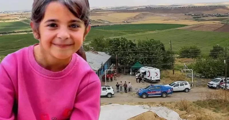 Narin Güran cinayetine ilişkin 15 sanığın, suçluyu kayırma suçundan yargılandığı davada tüm sanıklara ceza verildi.