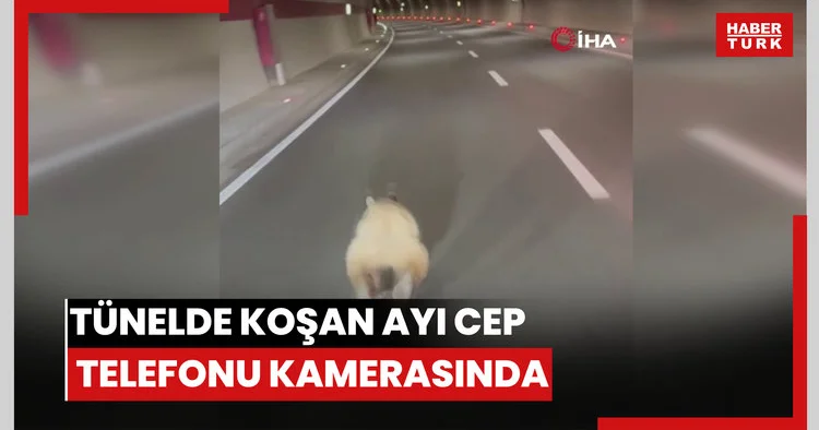 Tünelde koşan ayı cep telefonu kamerasında