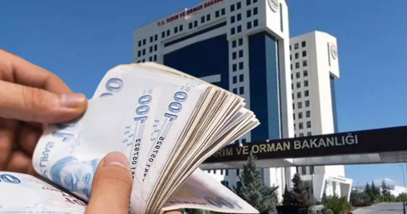 Tarım ve Orman Bakanlığı duyurdu: Üreticilere hayvan başına 18 bin TL ye kadar destek!