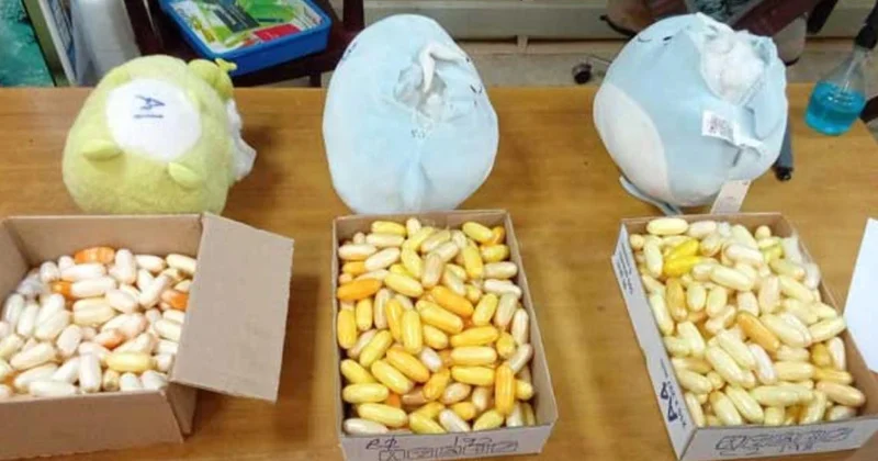 Peluş oyuncaklardan 10 kilo kokain çıktı
