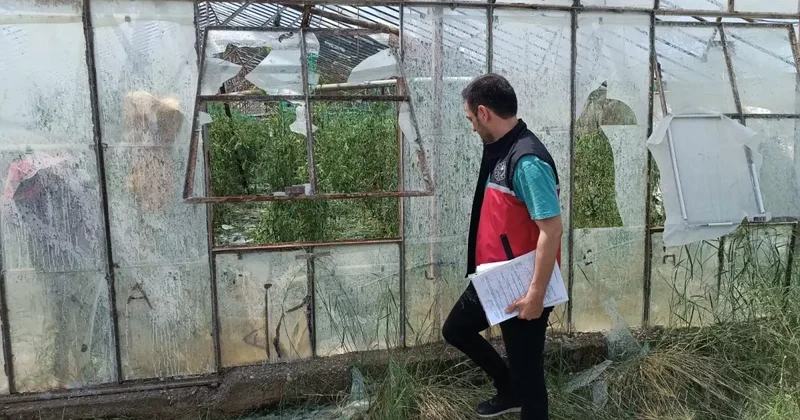 Serik te Dolu Felaketi: Tarım Ürünleri Zarar Gördü