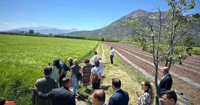 Antalya da cezaevlerindeki mahkumlara organik tarım eğitimi verilecek Antalya Haberleri
