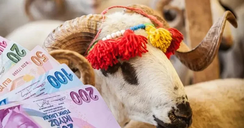 Kesinleşti: Dar gelirli ailelere 2 bin 500 lira Kurban Bayramı desteği