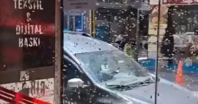 Arılar iş hanının girişine oğul verdi Bursa Haberleri