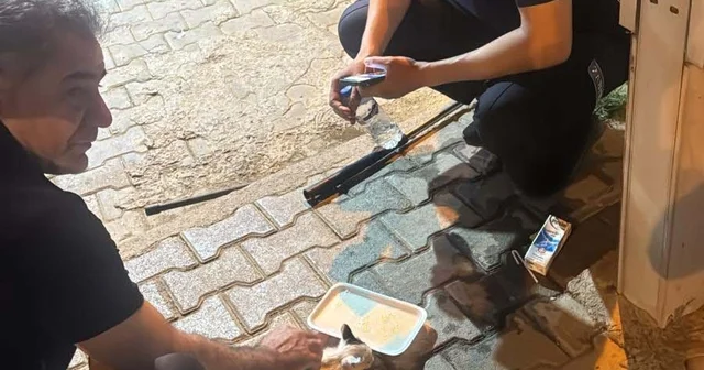 Reklam panosunda mahsur kalan yavru kediyi zabıta ekipleri kurtardı Hatay Haberleri