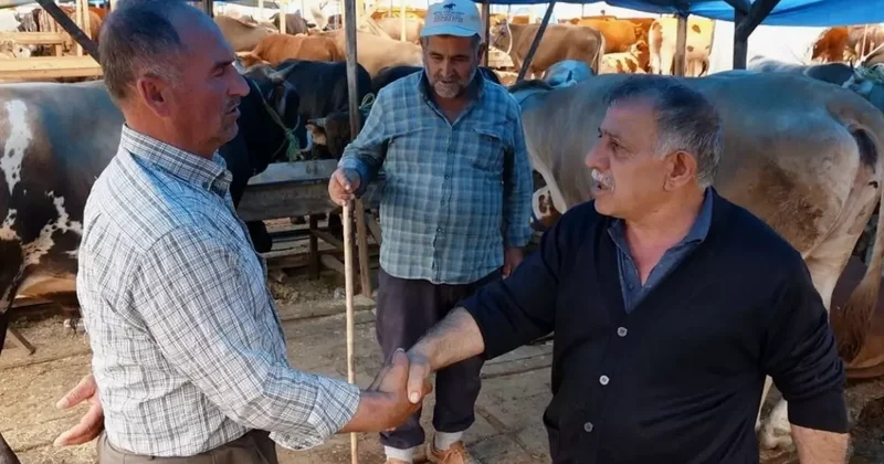 Rakamlar belli oldu! İşte kurban fiyatlarının en uygun olduğu 7 ilimiz