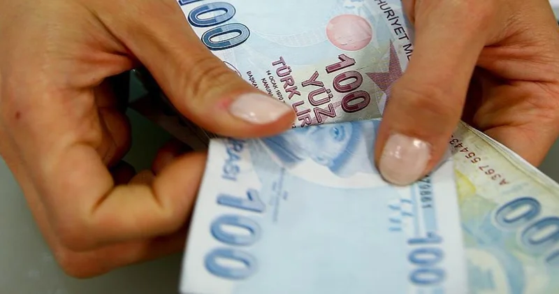 251 milyon liralık destekleme hesaplara yatıyor