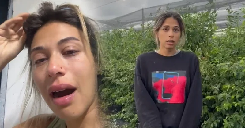 Büyük umutlarla ekti, tarlaya girince hüngür hüngür ağladı Sözcü Gazetesi