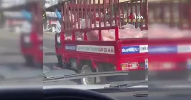 Siverek’te tepki çeken görüntü! Açık kasa kamyonette tonlarca et taşındı