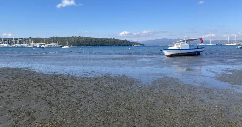 İzmir de artık Çeşme ye değil o ilçeye akın var! Yeni gözde